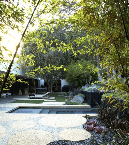 Sanctuary 6
