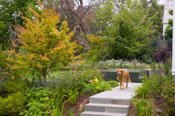 fountain-walk-garden-from-driveSM