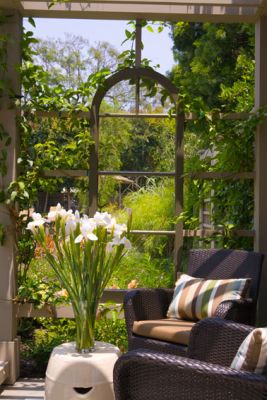b-view-through-pergola-windowSM