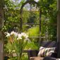 b-view-through-pergola-windowSM thumbnail
