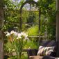 b-view-through-pergola-windowSM thumbnail
