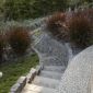 _MG_2060 thumbnail