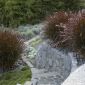 _MG_2080 thumbnail