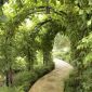 Trellis covered walkway thumbnail