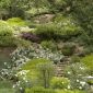 moraga-add-5 thumbnail