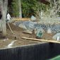 GRADING & BUILDING MOUNDS thumbnail