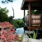 Dusk-Pavillion-Pool-Stork-Jap-MapleSM thumbnail