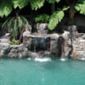 tropicalResidence thumbnail